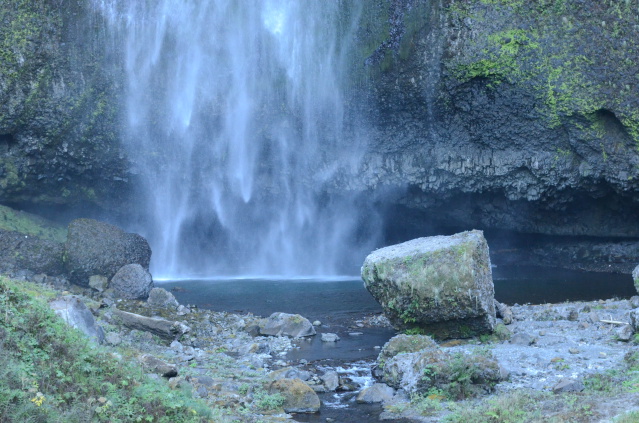 dsc_2894.jpg