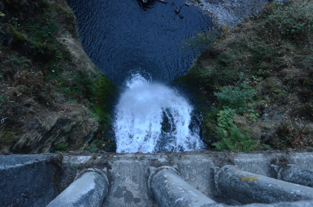dsc_2901.jpg