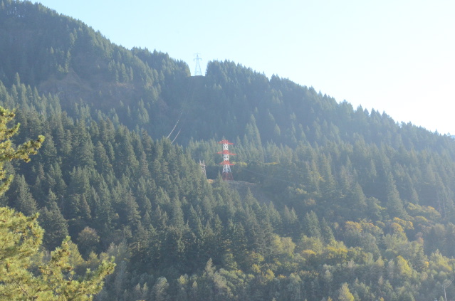 dsc_2937.jpg