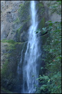 DSC_2879.JPG